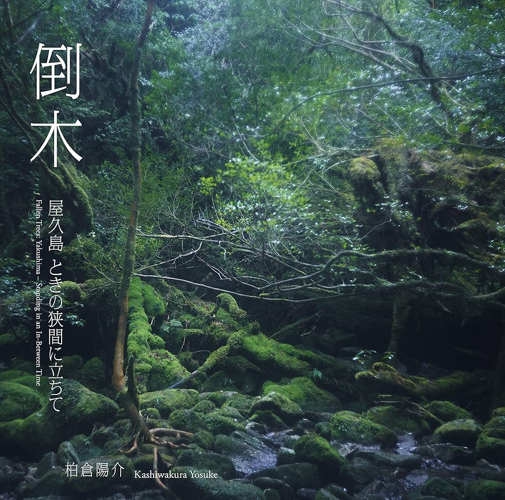 Amazon.co.jp: 倒木: 屋久島ーときの狭間に立ちて : 柏倉 陽介: 本
